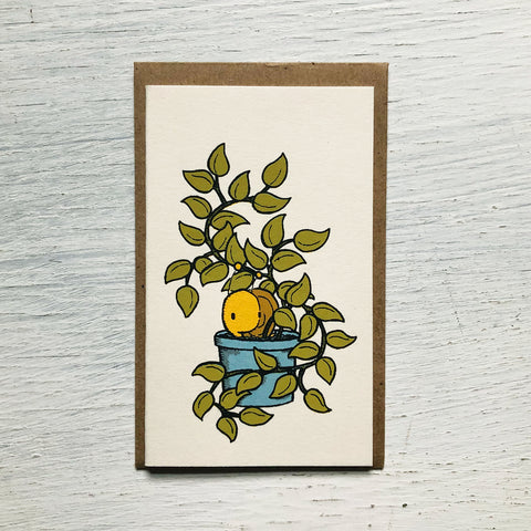 snail plant mini card